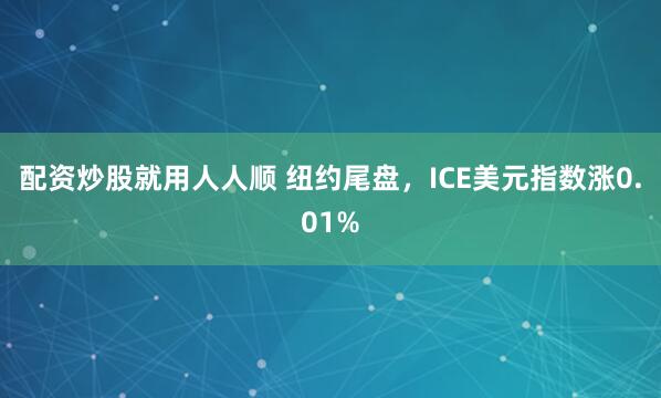 配资炒股就用人人顺 纽约尾盘，ICE美元指数涨0.01%